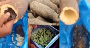 Man finds weed in yam tubers packaged by his friend to be delivered abroad (Video)