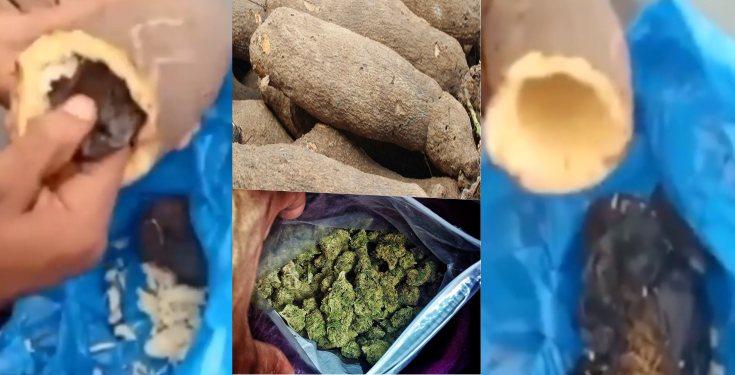 Man finds weed in yam tubers packaged by his friend to be delivered abroad (Video)