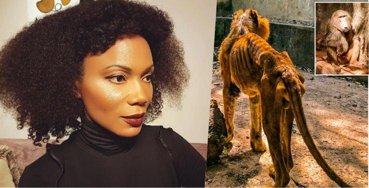 Nigerian journalist, Funmi Iyanda laments over underfed animals in a zoo in Kaduna