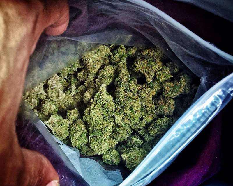weed, cannabis 