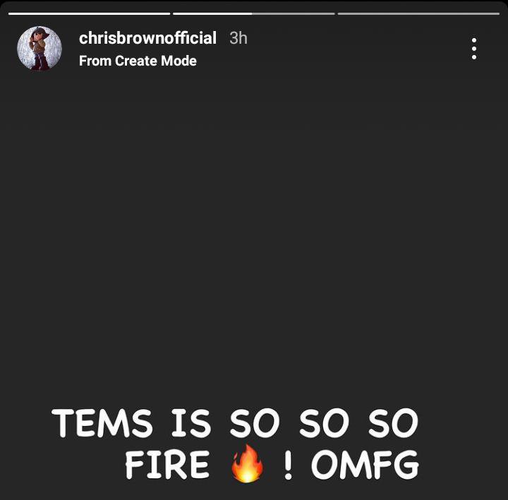 Chris Brown praises Tems