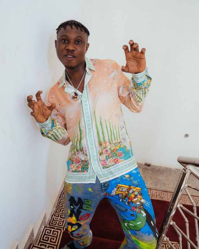 zlatan ibile