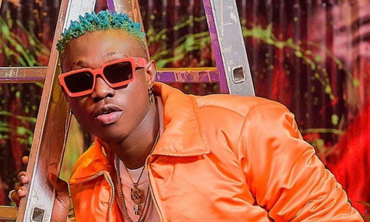 zlatan ibile