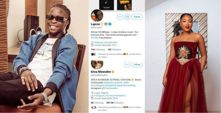 Icons mock Erica, as Laycon hits 1 million followers on Twitter