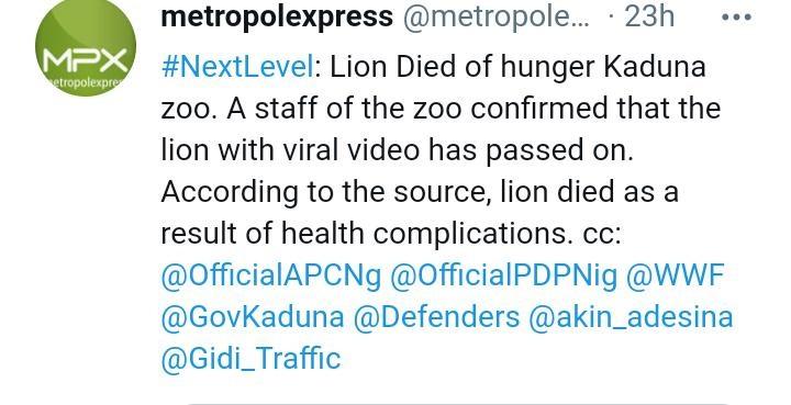 Lion hunger kaduna state