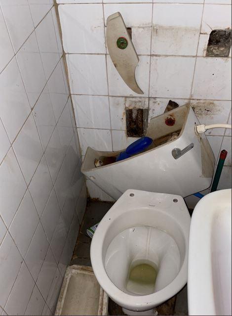 Biyi Tudor's Toilet Violence