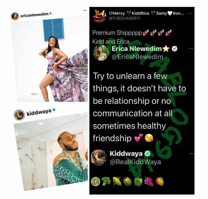 Erica Kiddwaya Fan Lovers