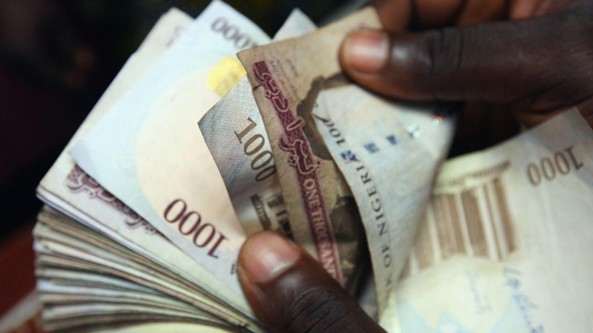 transport wife material