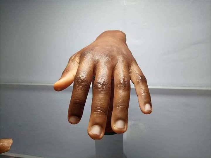 Man Twitter Artificial Dark-Skinned Human Parts