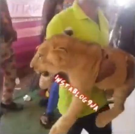 Man attends father's burial ceremony with a lion in Anambra State (Video)