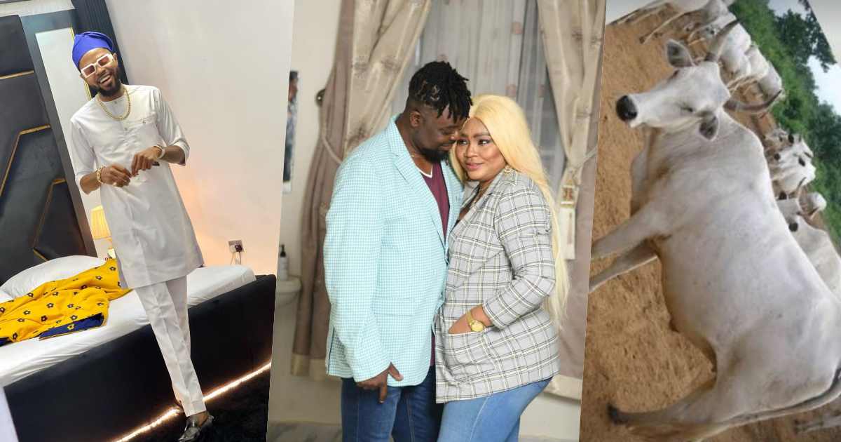 Regina Daniels' brother donates cow as he announces mother's white wedding date