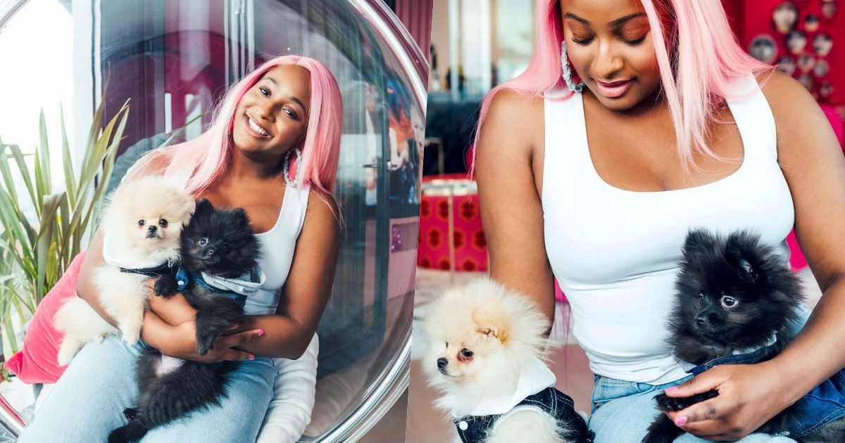 "If my dogs doesn't like you, we can't date" - DJ Cuppy to prospective suitors