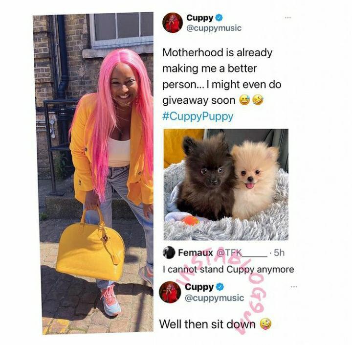 DJ Cuppy slams troll who can't stand her 'transition to motherhood' with puppies