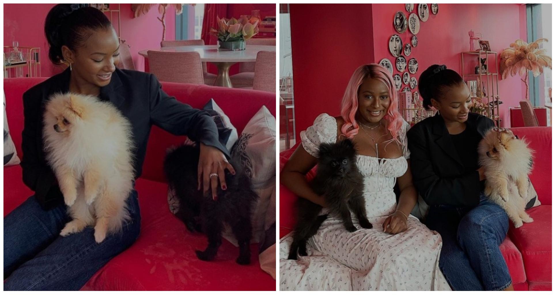 Temi Otedola shares lovely pictures with DJ Cuppy's 'Pomeranian sons,' calls them her cousin