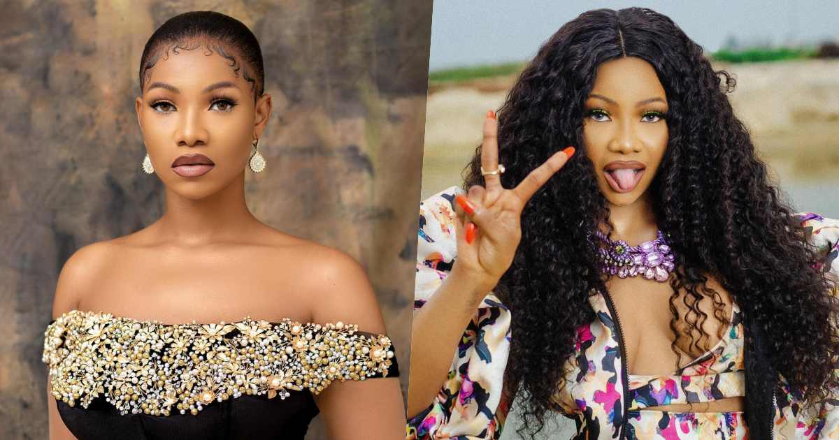 "What's Pepper Dem without me" - Tacha slams troll who said BBNaija helped her life (Video)