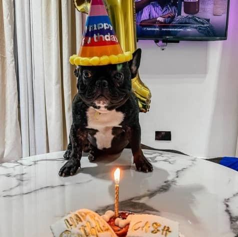 family celebrate their dog