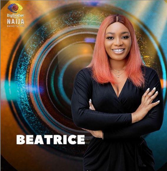 #BBNaija2021: Meet all the female housemates (Photos)