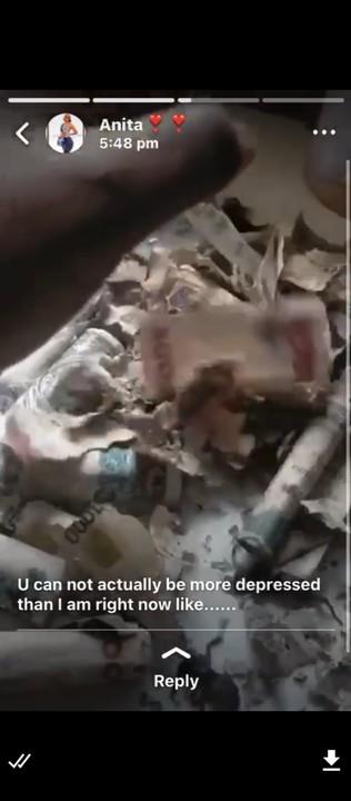 Lady cries out after rats destroyed N30k she kept in her savings box