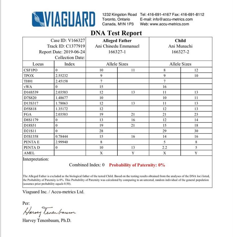 dna result nedu wazobia