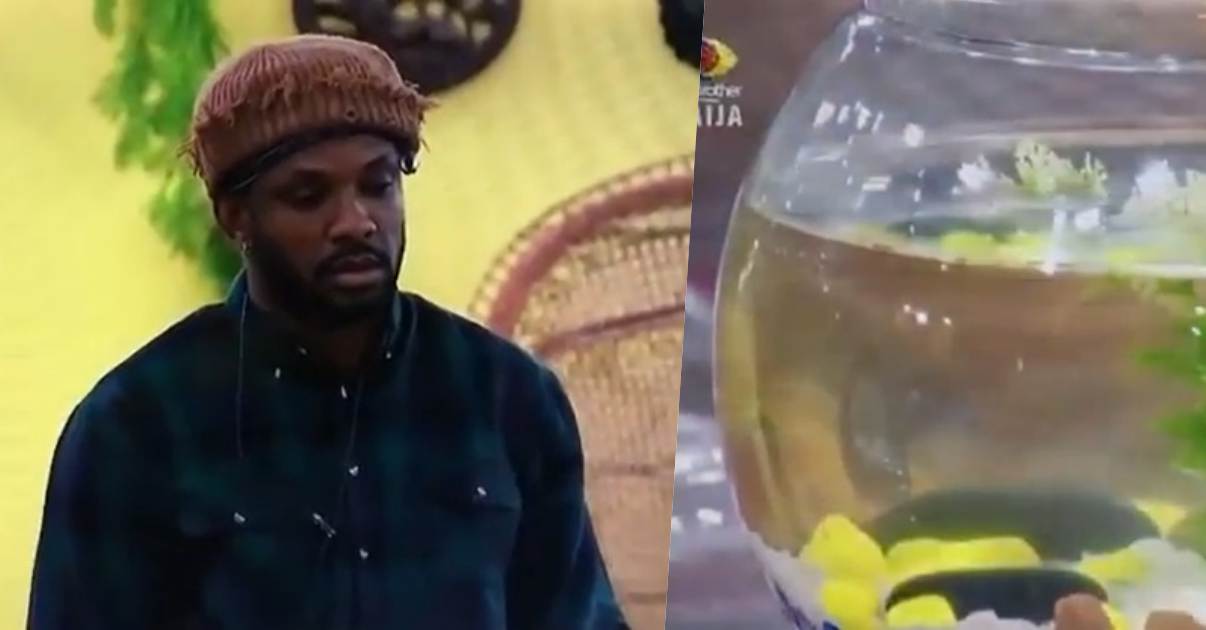 #BBNaija: "Till we meet again" - Cross mourns death of his fish, Targaryen Okonkwo (Video)