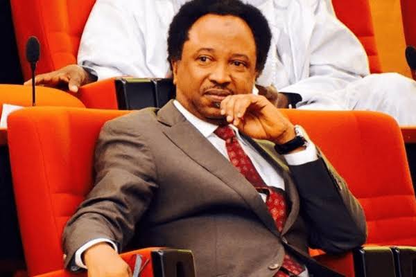 Senator Shehu Sani reacts to Tiwa Savage endorsements