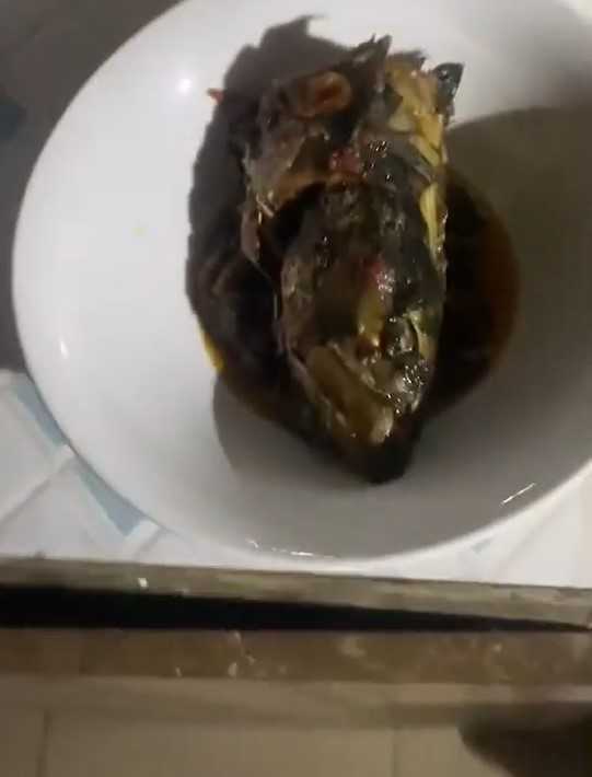 Stew Wife steal fish