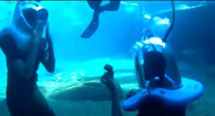 Omashola proposes to his girlfriend underwater (Video)
