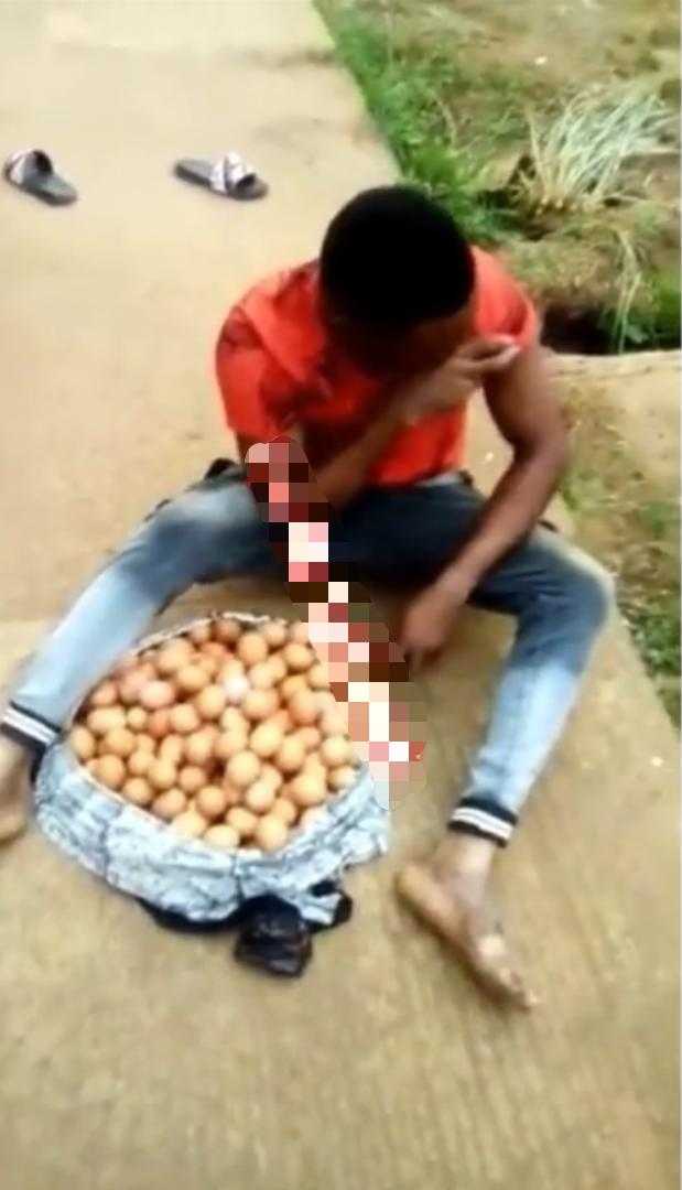 Worker nabbed after stealing eight crates of eggs from farm (Video)