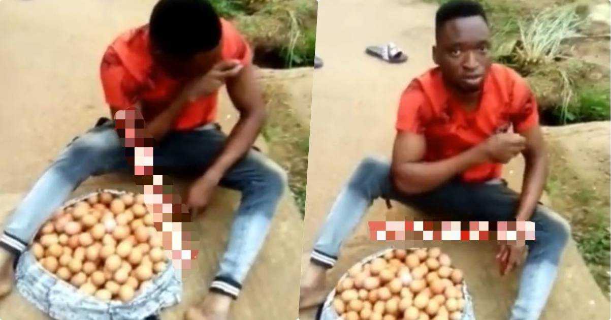 Worker nabbed after stealing eight crates of eggs from farm (Video)