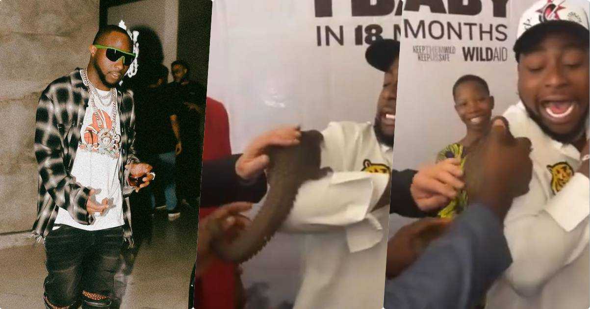 Moment Davido screams for help during campaign against animal extinction (Video)