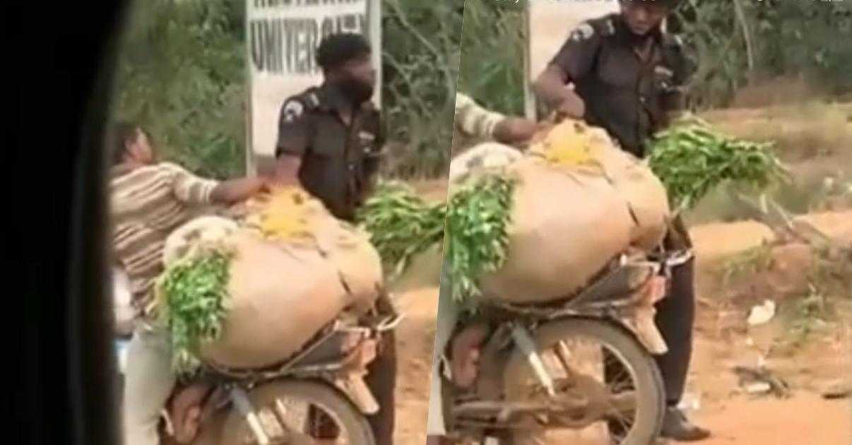 Police officer extorts farmer of vegetables in absence of cash as bribe (Video)