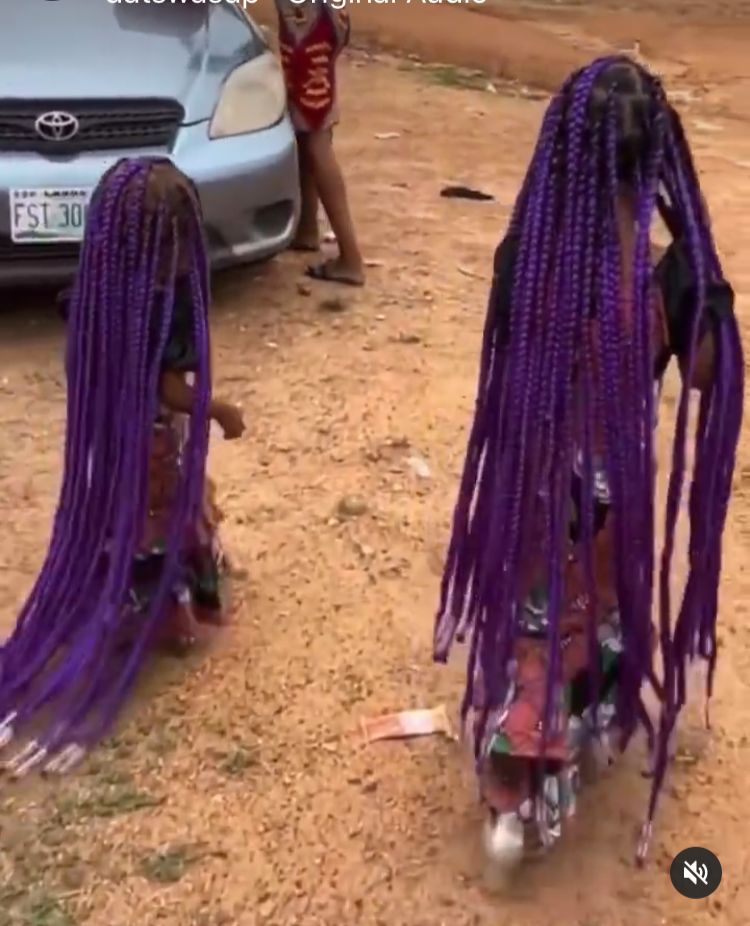 "Why stressing these poor kids" - Siblings on heavy braids stirs reactions (Video)