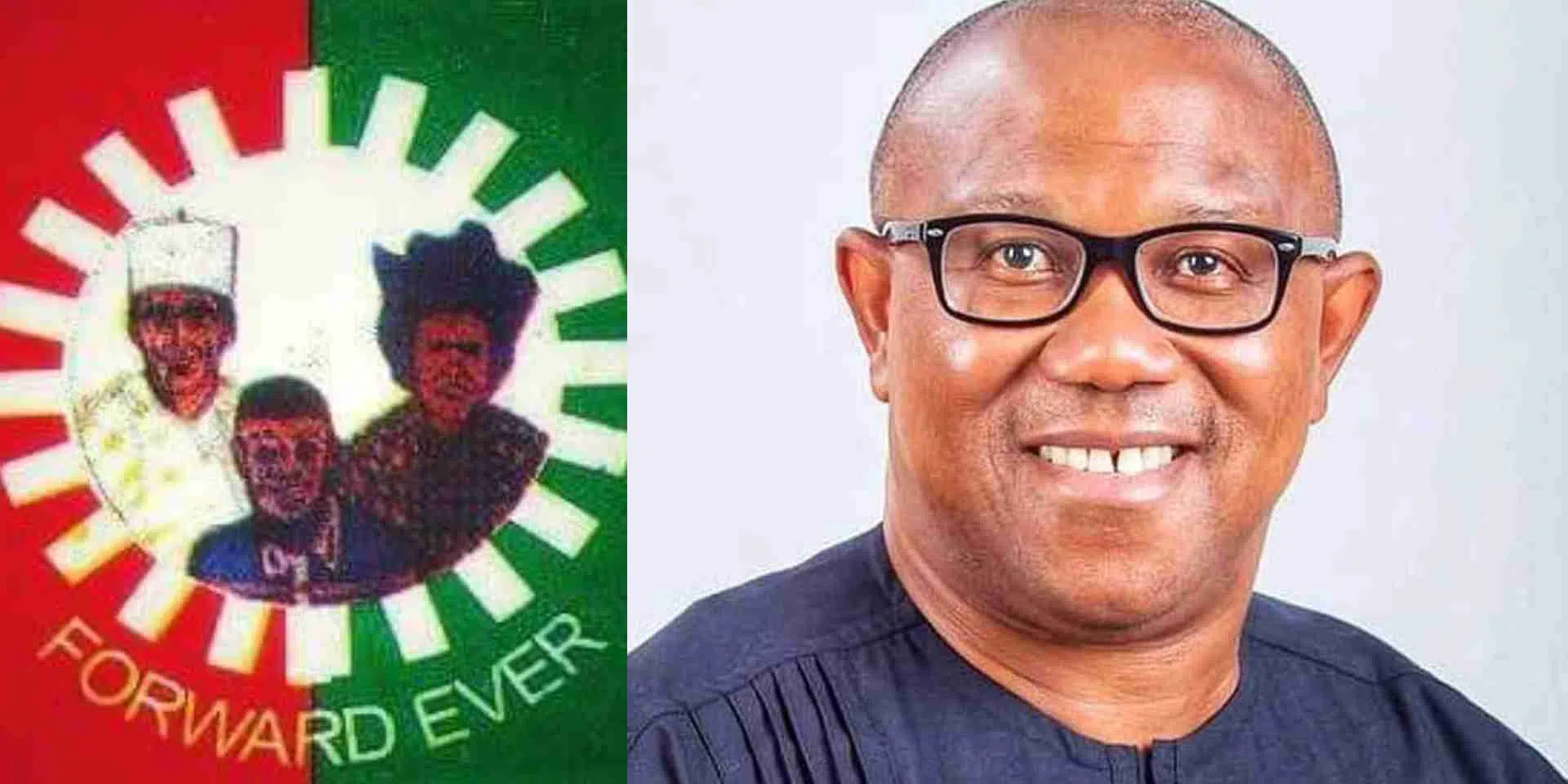 "Peter Obi remains the only presidential candidate" - Labour Party finally react to internal power tussle