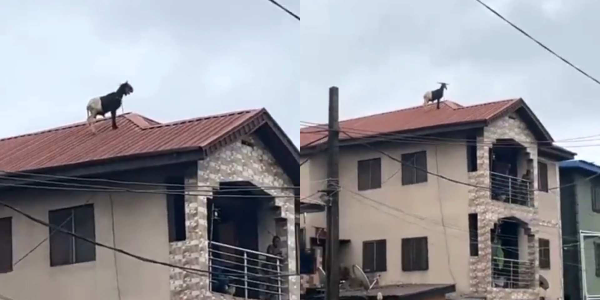Reactions as video shows Salah ram on top of 2-storey building; refuses to come down