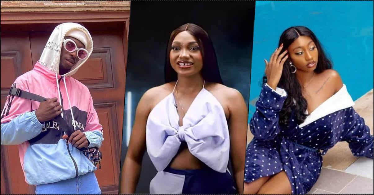 BBNaija: Why tonight’s evicted housemates were retained – Biggie