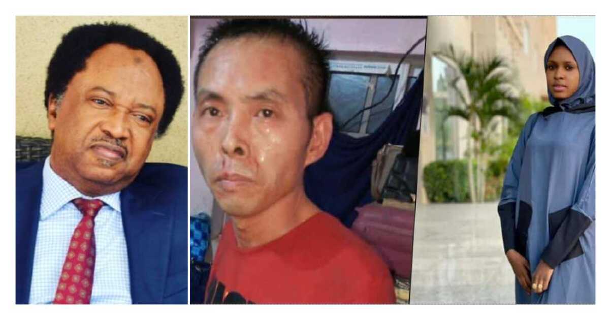 Senator Shehu Sani explains why a Chinese man stabbed a young Kano girl to death