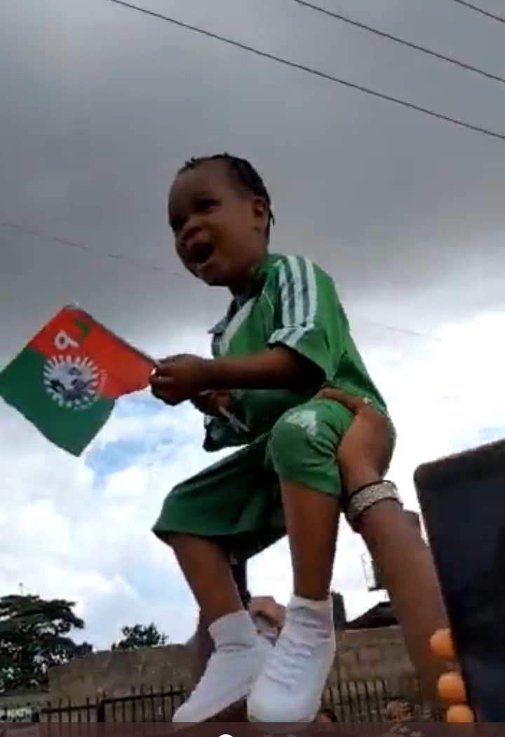 Peter Obi sued for involving toddler in election rally