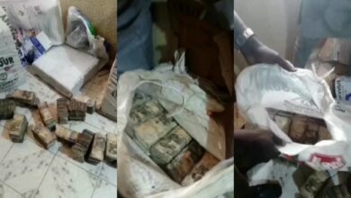 bags of dacayed naira notes uncovered as CBN redesigns Nigerian currency (Video)