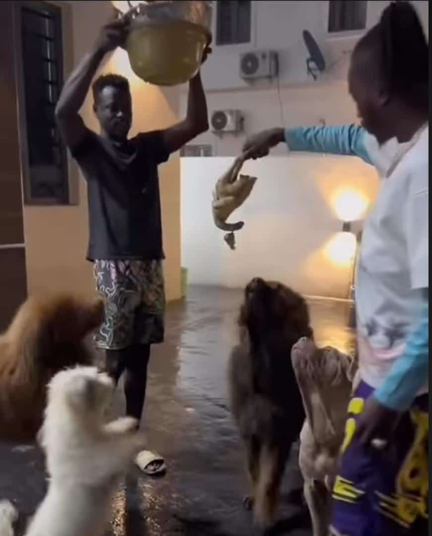 Dirty December: Naira Marley feeds his dogs full cooked chicken each