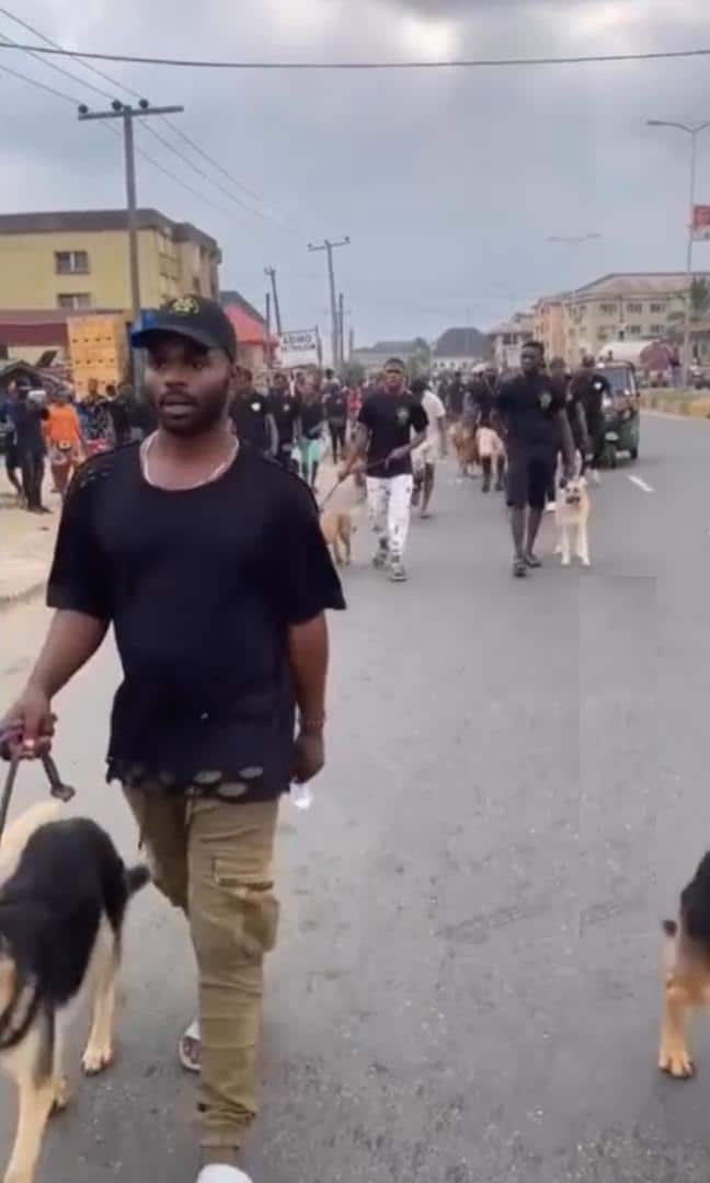 "Na why Buhari no get our time" — Reactions trail dog carnival in Port Harcourt (Video)