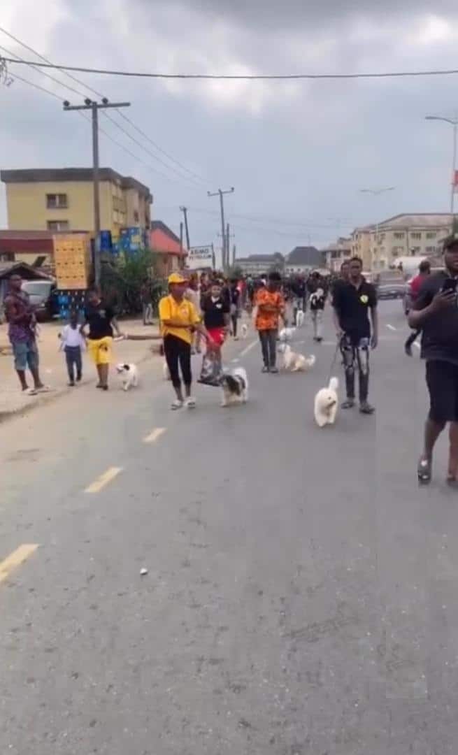 "Na why Buhari no get our time" — Reactions trail dog carnival in Port Harcourt (Video)