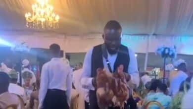 Drama as guests receive live chicken as souvenir at wedding party in Lagos (Video)