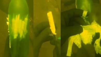 Diver discovers mysterious bottle underwater with names tied to knives (Video)