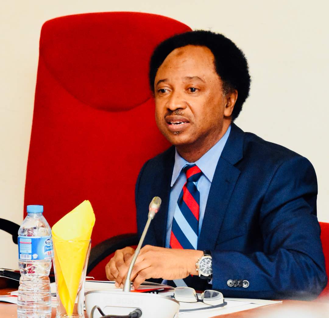 senator shehu sani