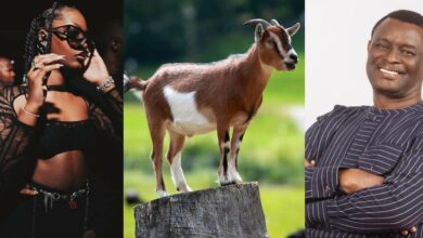 Mike Bamiloye tackle Tems, others who call themselves "GOAT"