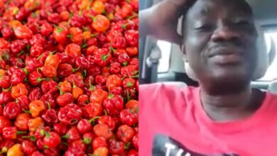 Man stranded after co-passenger used his change to purchase pepper (Video)