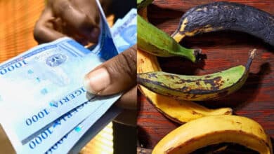 Naira Scarcity: How I dealt with vendor who charges double on bank transfer — Lady