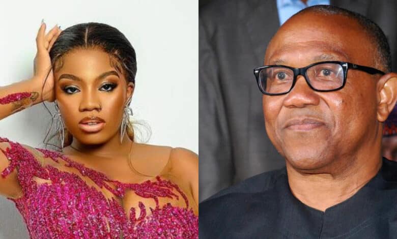 Please vote for Peter Obi - Angel Smith advises slay queens