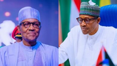 2023 General Election: President Buhari appeals to Nigerians to keep the country safe
