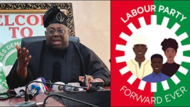 PDP spokesman, Dele Momodu applauds Labour Party's turnout in Lagos